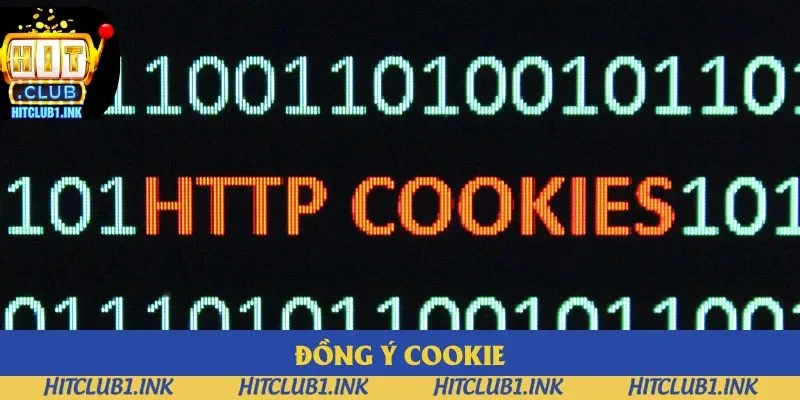 Cookie mang lại nhiều quyền lơi cho tất cả thành viên